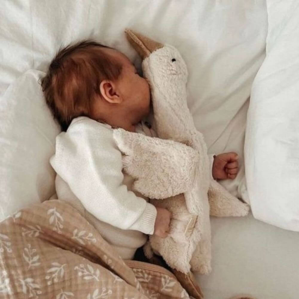 Pato de Pelúcia - Amigo de Dormir - 50 cm - Tesouro Baby